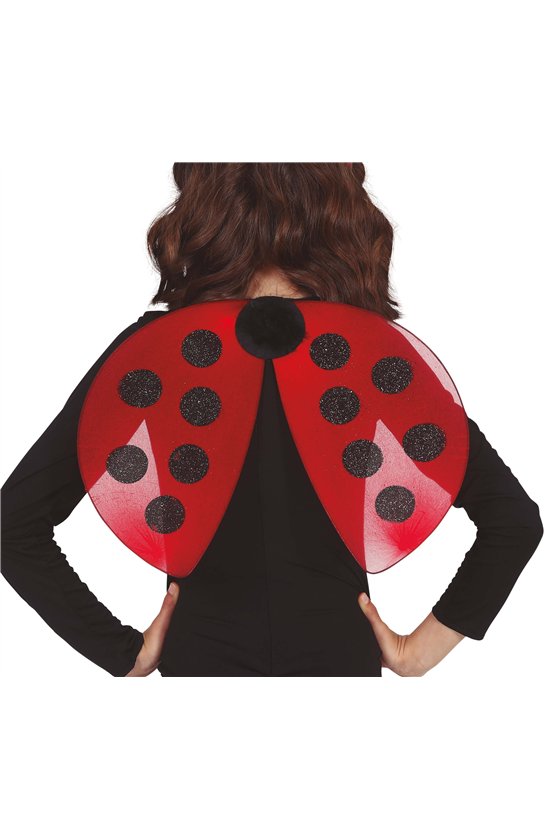 LADYBIRD WINGS 40X30 CMS.