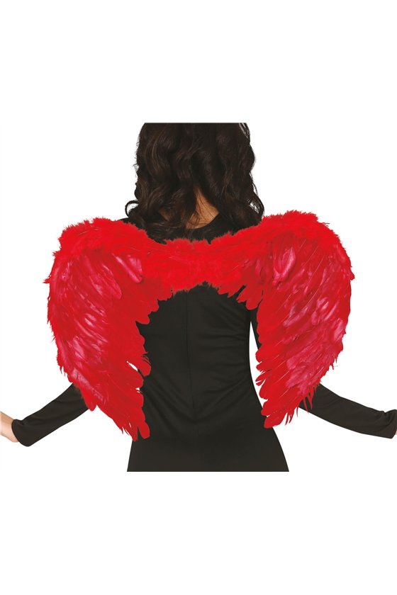 RED FEATHER WINGS, 60x40 CMS.