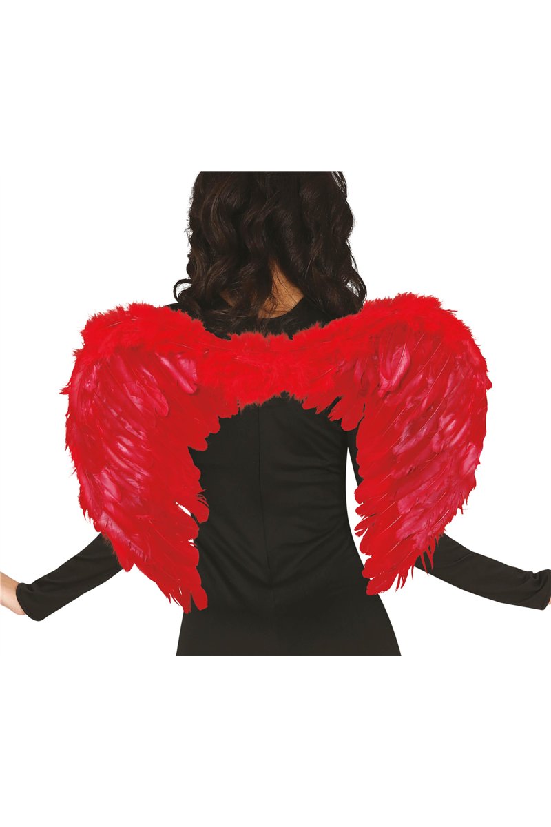 RED FEATHER WINGS, 60x40 CMS.