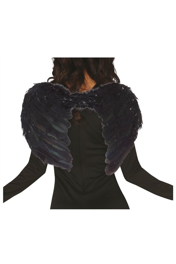 BLACK FEATHER WINGS, 60x40 CMS.
