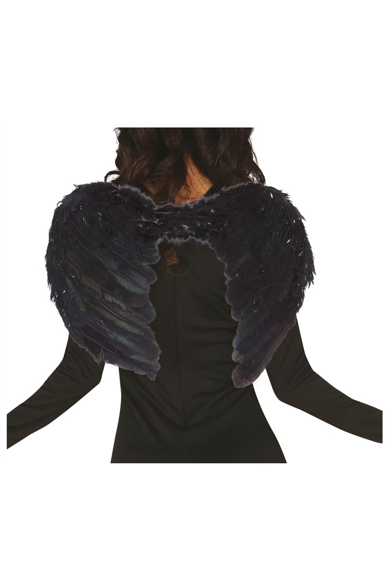BLACK FEATHER WINGS, 60x40 CMS.