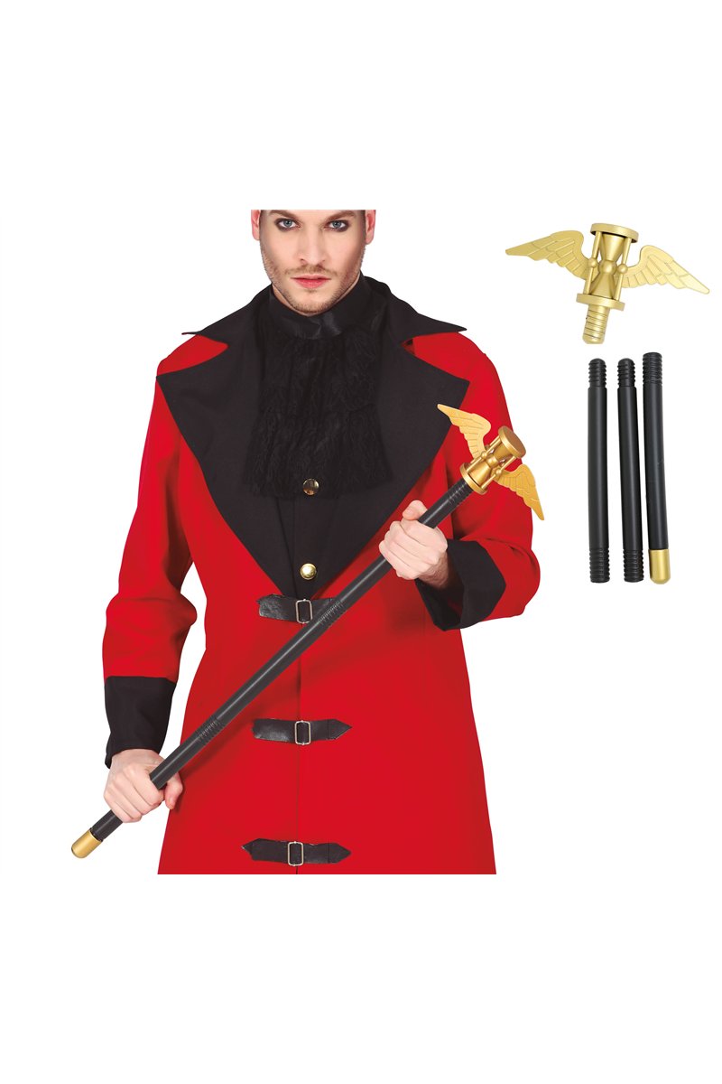 CANE WITH WINGS 100 CMS, REMOVABLE