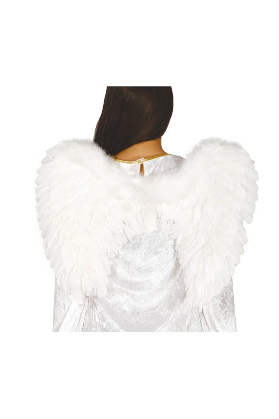 FEATHER ANGEL WINGS, 60x40 CMS.