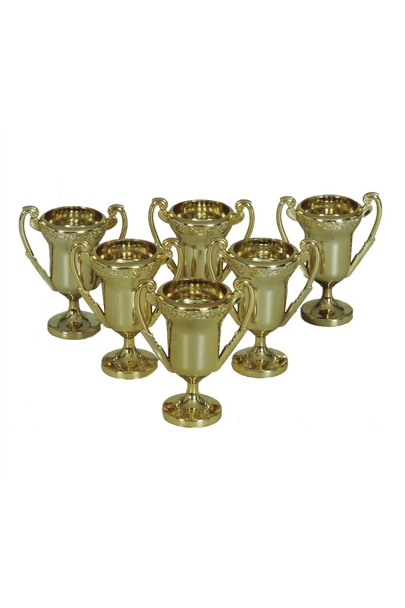 BAG WITH 6 TROPHIES OF 6 CMS