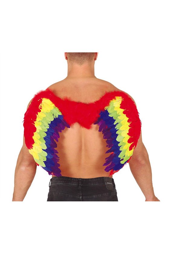 MULTICOLORED FEATHER WINGS 60 X 40 CM