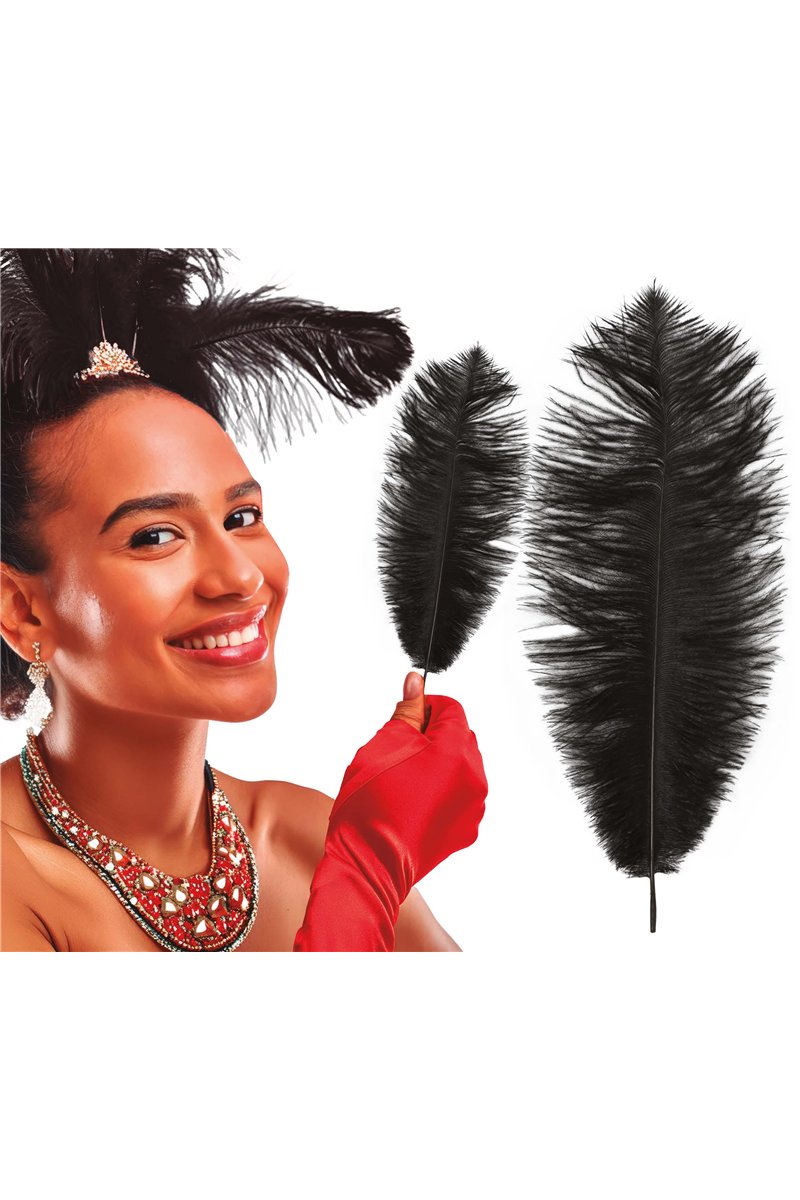 BAG 12 OSTRICH FEATHERS 30 CMS.BLACK
