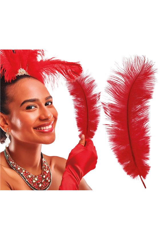 BAG 12 OSTRICH FEATHERS 30 CMS.RED