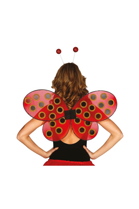 LADYBIRD WINGS, 52X43 CM
