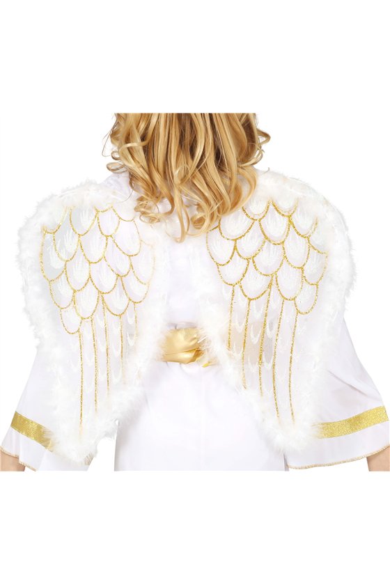 ANGEL WINGS 47X40 CM