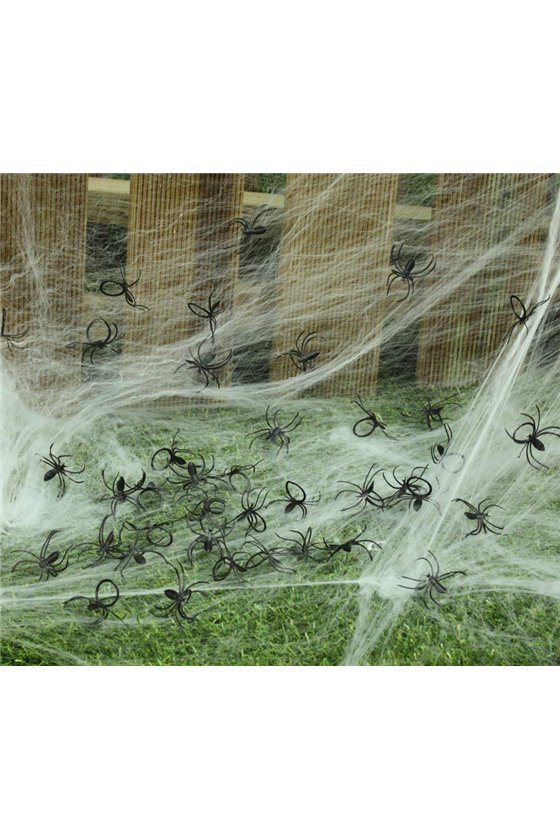 BAG: 50 SPIDERS