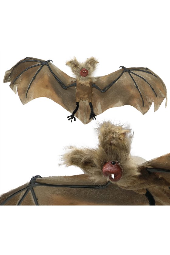 60 CM BAT