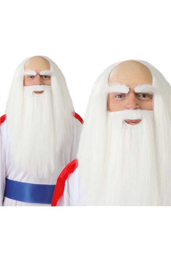 DRUID WIG AND BEARD (BOX CONTAINER)