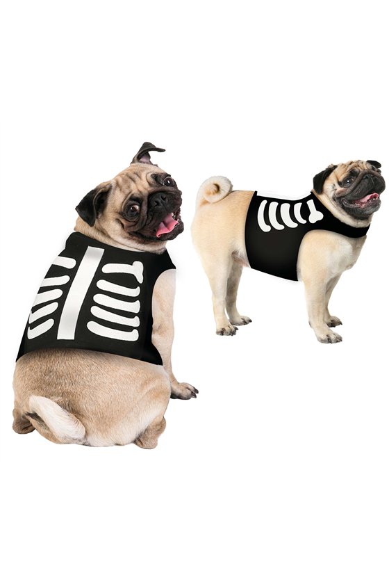 COSTUME SKELETON ANIMAL SIZE S