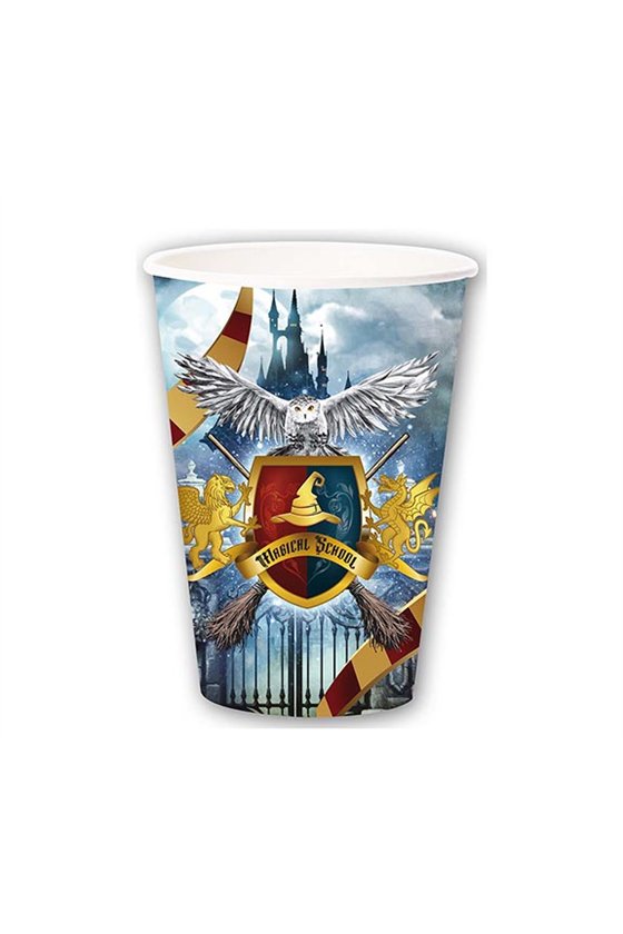 BOX 6 WIZARD GLASSES 355 ML 9 CMS