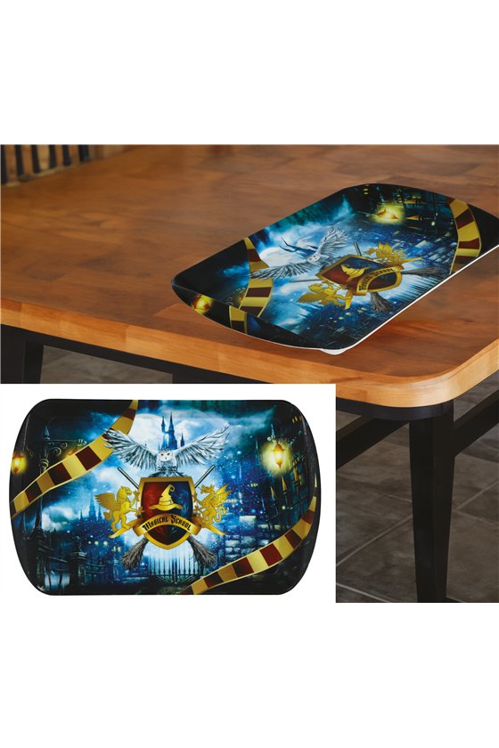 WIZARD TRAY 39X24 CM
