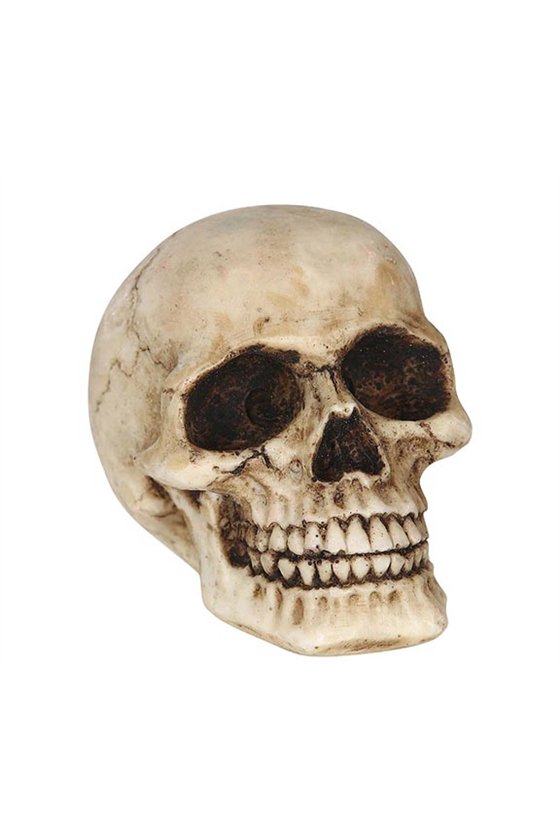 RESIN SKULL 8 CM