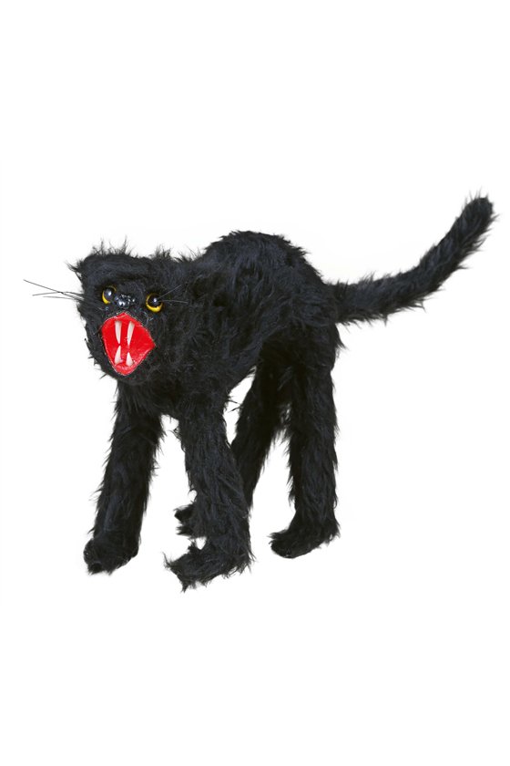 CAT 30 CMS.