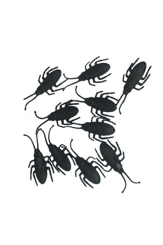 BAG: 10 BEETLES, 7 CM