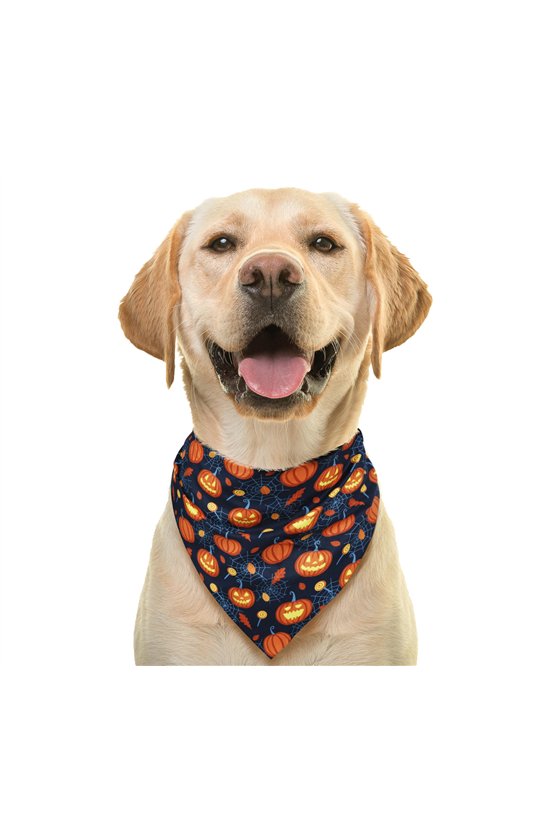 PET SCARF PUMPKIN