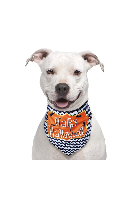 PET SCARF "HAPPY HALLOWEEN"