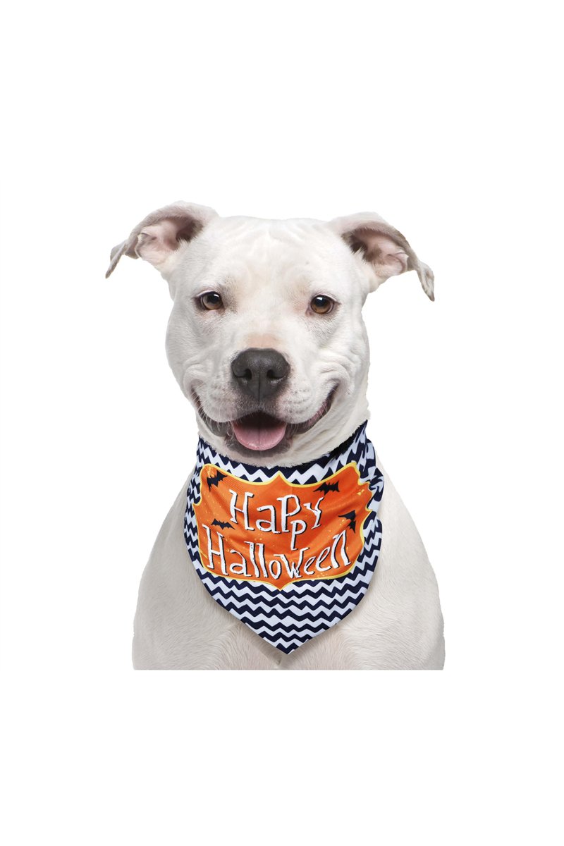 PET SCARF "HAPPY HALLOWEEN"