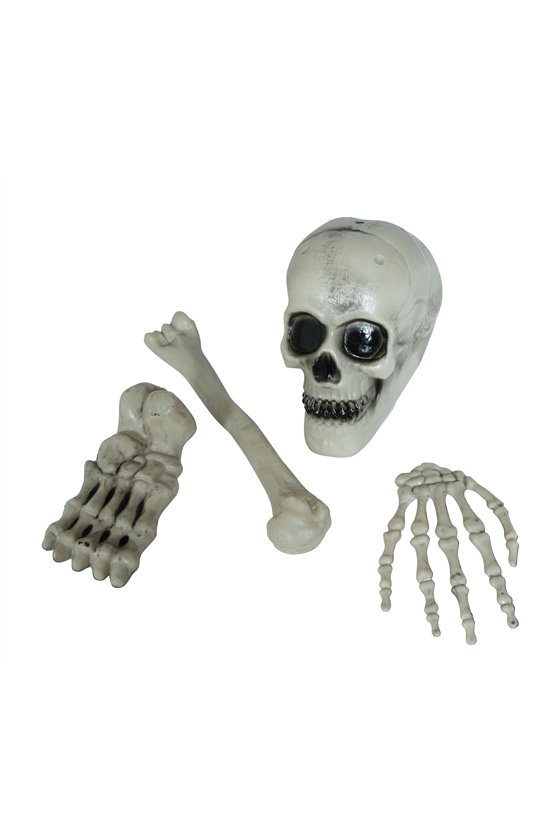 4 PIECE SKELETON BONES SET