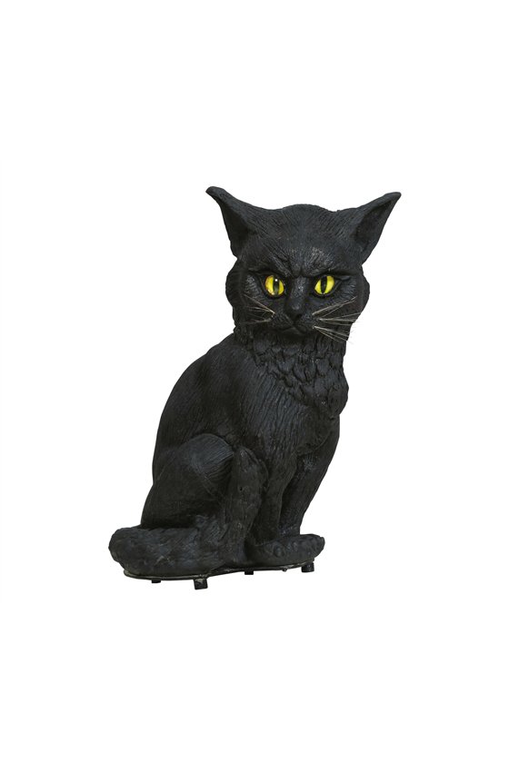 CAT WITH LIGHT AND SOUND, 32 CMS