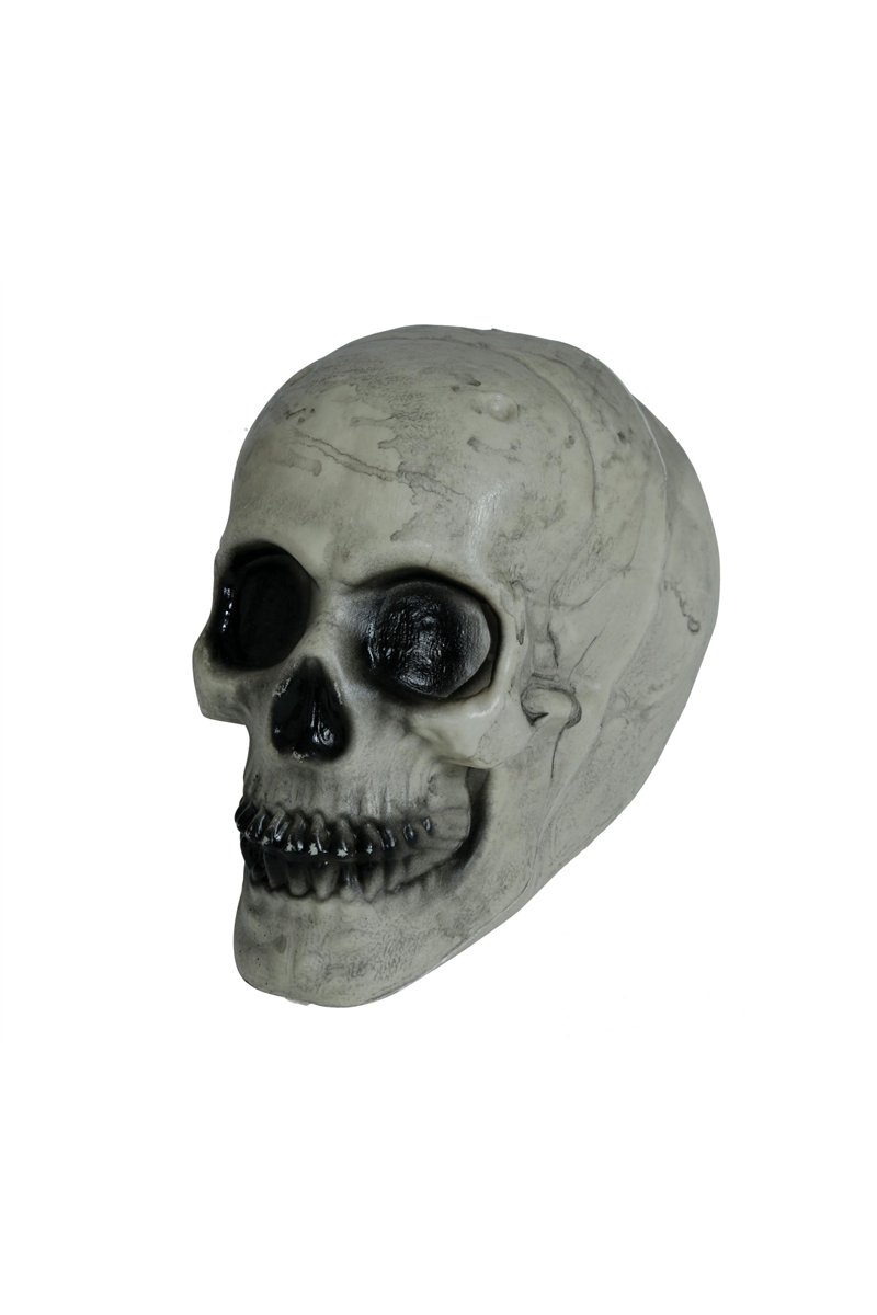 SKULL 20 CMS