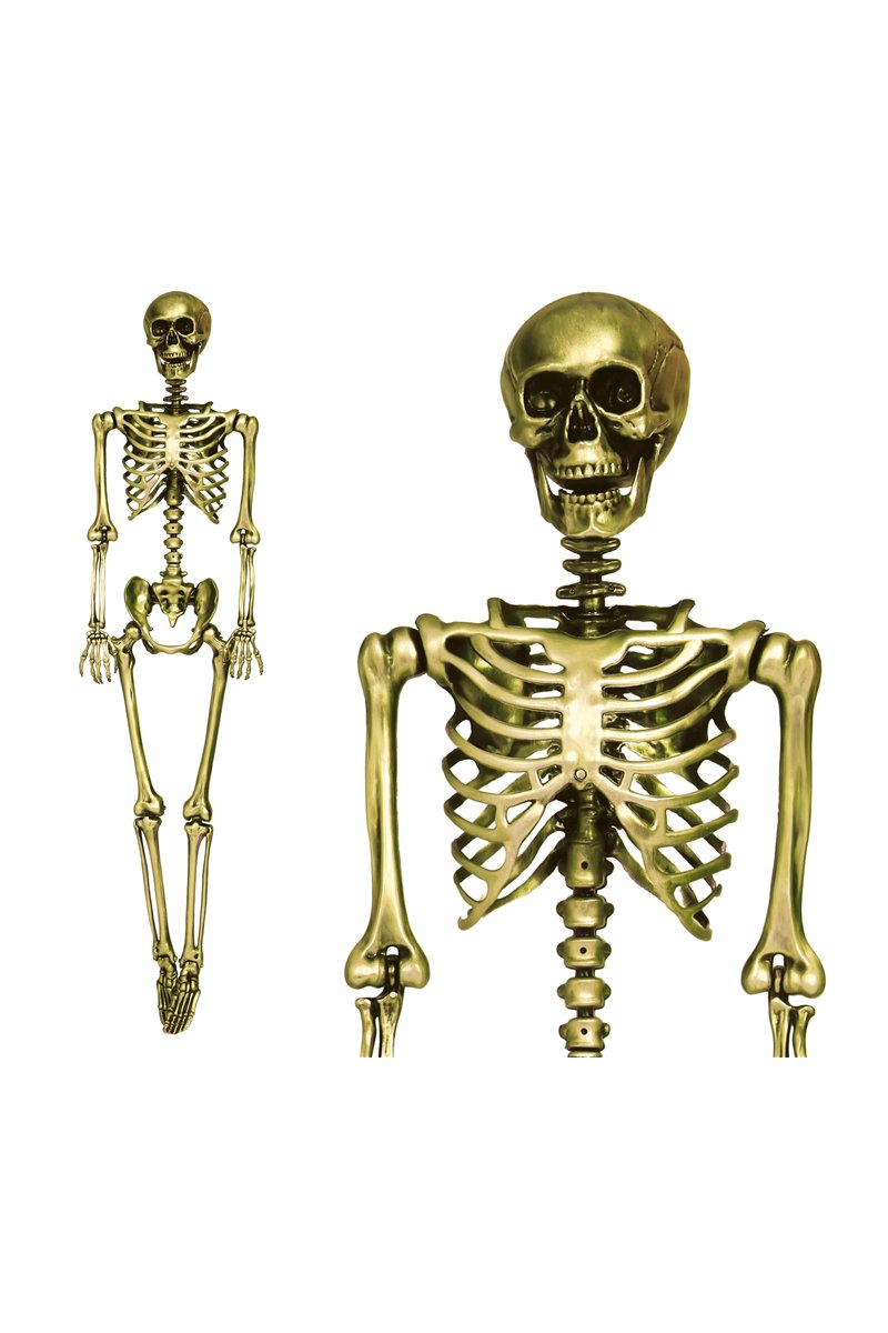 GOLD SKELETON 160 CMS
