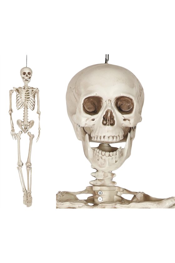 SKELETON 160 CM