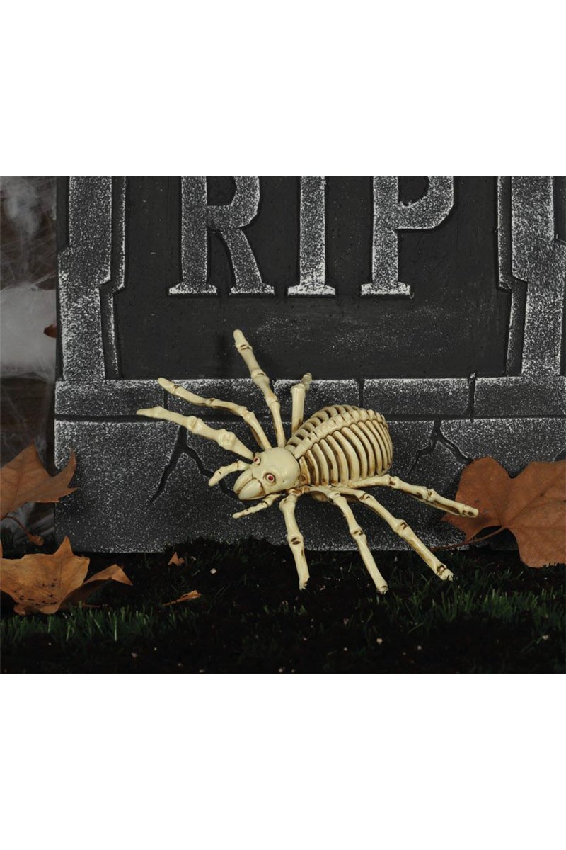 SPIDER SKELETON 24 CM