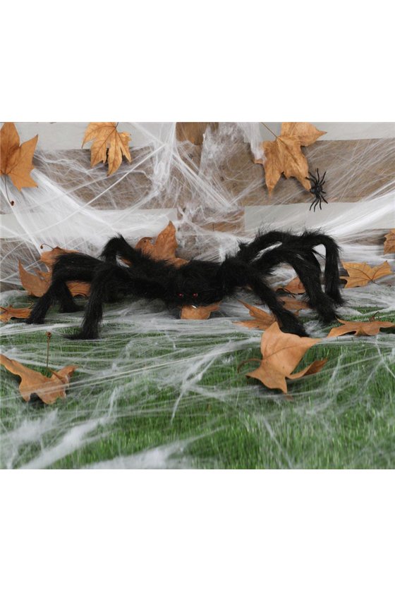 BLACK  SPIDER 70 CM