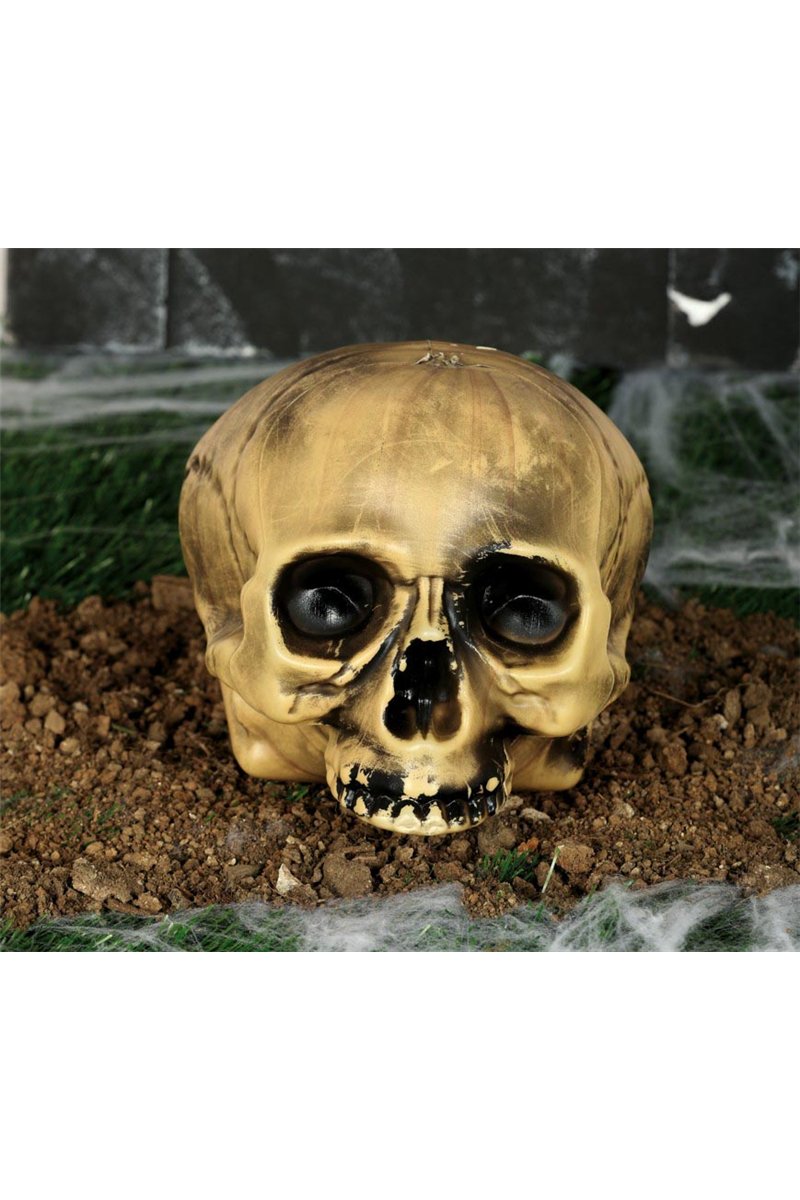 CHIN LESS PLASTIC SKULL 20 CMS