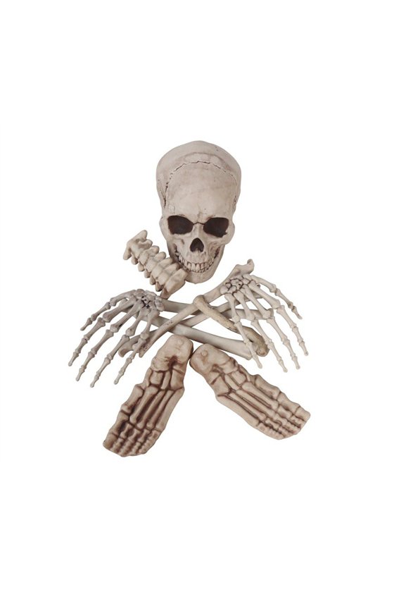 BAG OF 12 BONES