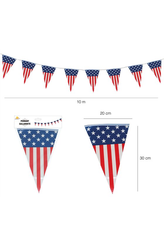 AMERICA PENNANT 10 MTS.