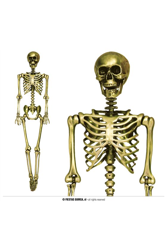 GOLD SKELETON 90 CMS