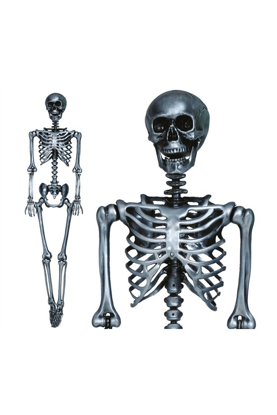 SILVER SKELETON 90 CMS