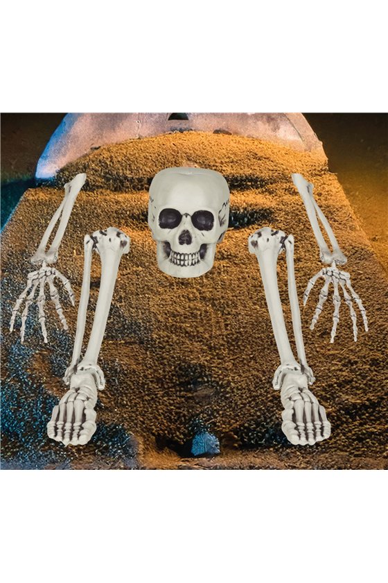 SKELETON BONE SET, 5 PIECES