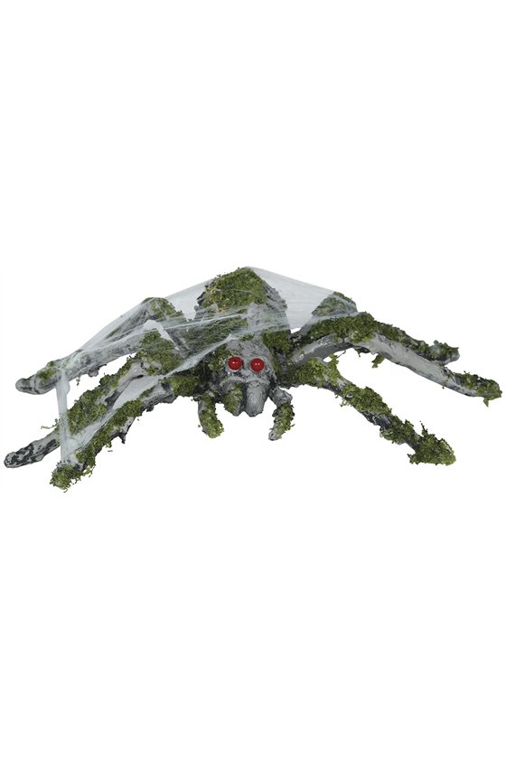 SPIDER WITH MOSS 22 CM