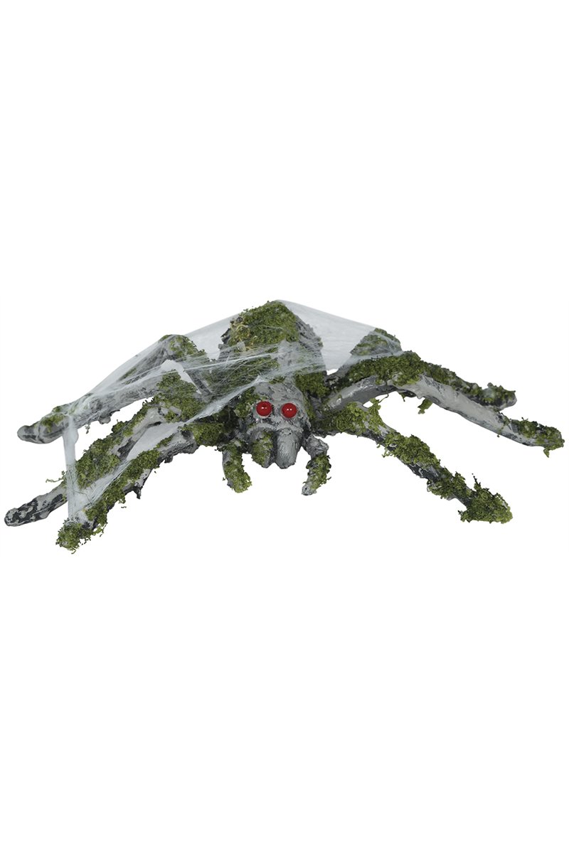 SPIDER WITH MOSS 22 CM
