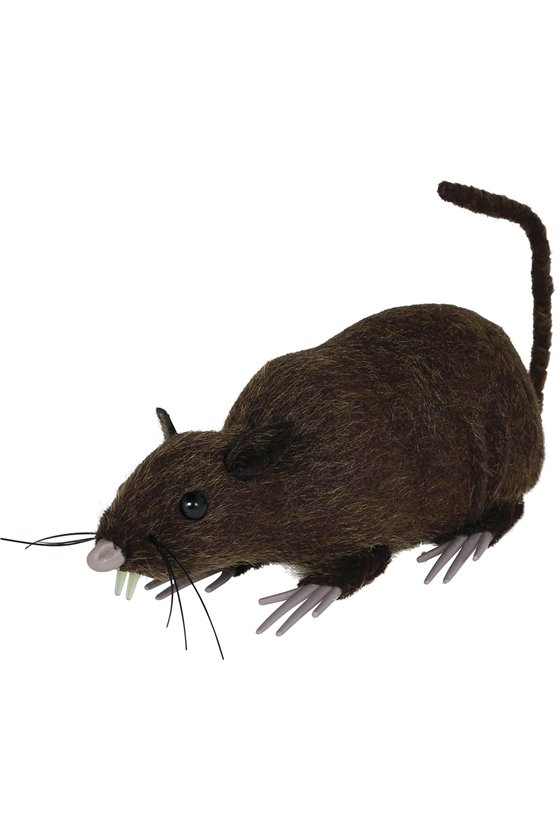 BROWN RAT 15 CM