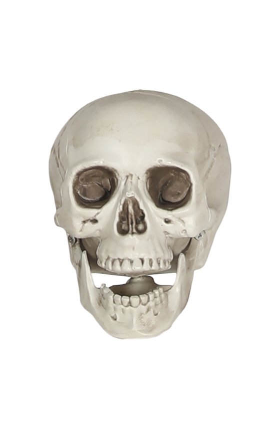 SKULL PVC 20 CM