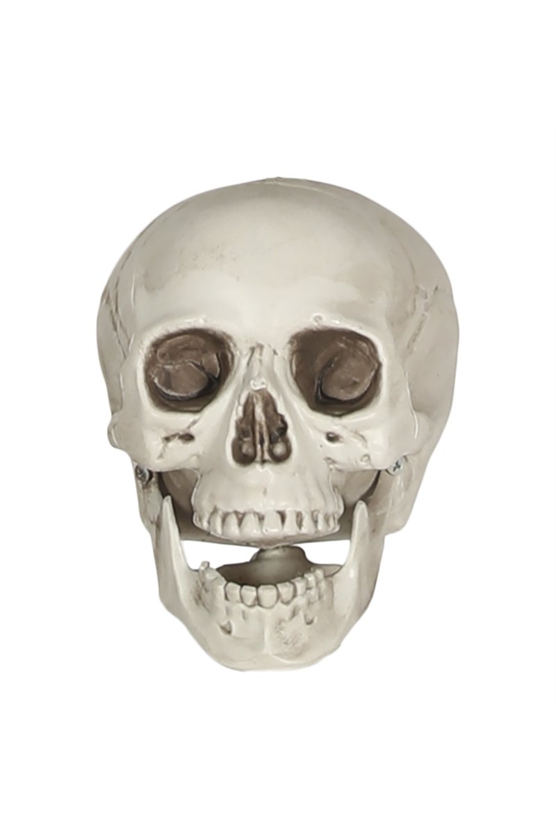 SKULL PVC 20 CM