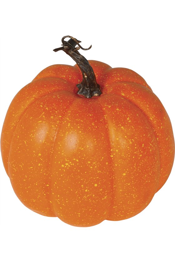 PUMPKIN 18 CMS