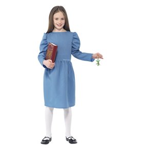 Roald Dahl Matilda Costume, Blue