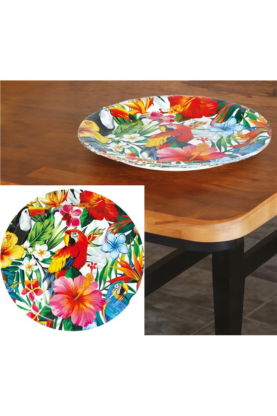 BAG 6 PLATES HAWAII 23 CMS
