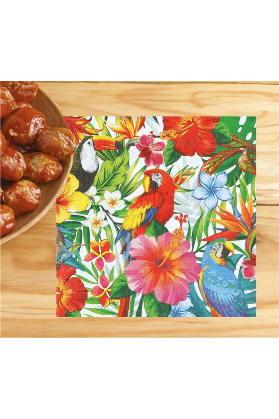 BAG OF 20 NAPKINS HAWAII 16X16 CMS