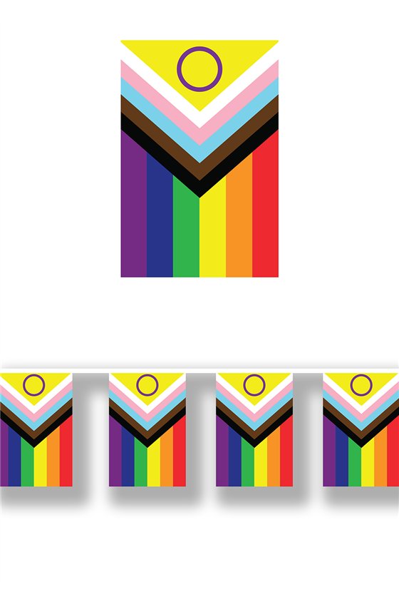 INCLUSIVE RAINBOW FLAG GARLAND, 30X20 CM, 2.5M