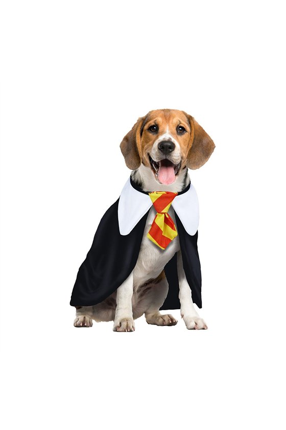 MAGIC STUDENT L - DOG