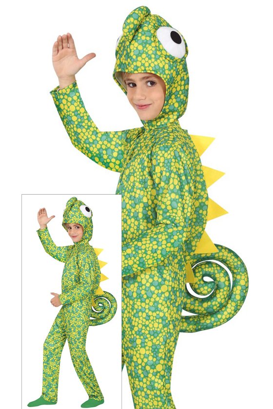 CHAMELEON 5 6 YEARS